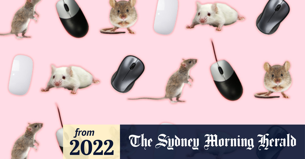 Computer mouses shop or computer mice